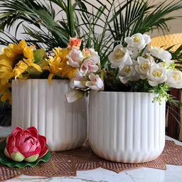 NIYARA White 2 Pieces Textured Ceramic Planters-20