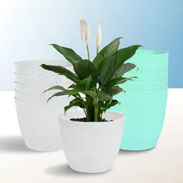 Kuber Industries White & Green 12 Pieces Lightweight Planters-7