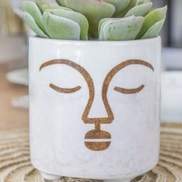 KitchenCraft White & Brown Printed Ceramic Planters-35