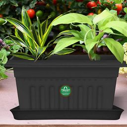 TRUSTBASKET 3 Pcs Black Planter Saucers-4