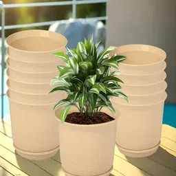 Kuber Industries Beige 12 Pieces Marble Finish Planters With Tray-17