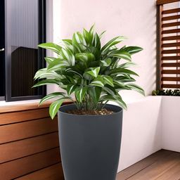 Kuber Industries Grey Flower Planters With Plate-23