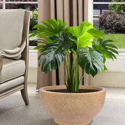 Kuber Industries Marble Lotus Cream-Coloured Marble Printed UV-Protected Planter-image-54