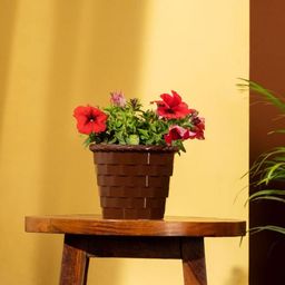 TRUSTBASKET Set Of 8 Yellow & Red Brick Textured Pot Planters-22
