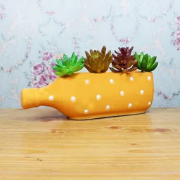 Wonderland Yellow Ceramic Polka Dot Printed Bottle-Shaped Planter-15
