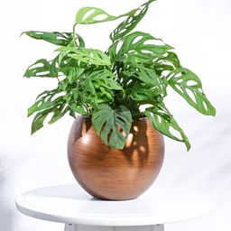 UGAOO Gold-Toned Zuri Ball Retro Small Planter-image-42