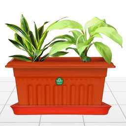 TRUSTBASKET 6 Pcs Brown Brand Logo Detailing Planter Saucers-14
