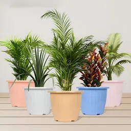 Kuber Industries Beige & Peach Marble Duro Planters-14