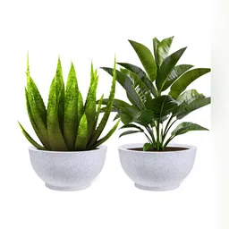 Kuber Industries Marble Lotus White 2 Pieces Lightweight Planters-image-51