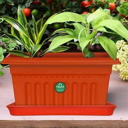 TRUSTBASKET 12-Pcs Brown Square Saucers Planters-image-15