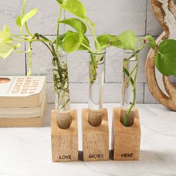 VarEesha Flora Brown 3 Pieces Wooden Test Tube Planters-19