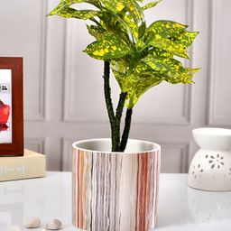 TAYHAA Cream-Coloured & Grey Thin-Striped Ceramic Round-Shaped Indoor Planter-21