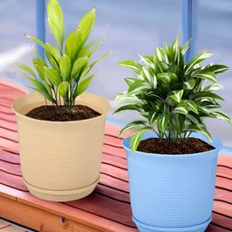 Kuber Industries Blue & Beige 2 Pieces Marble Finish Planters With Tray-49