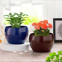 Homspurts  Blue & Brown 2 Pieces Brown & Blue Metal Planter-38
