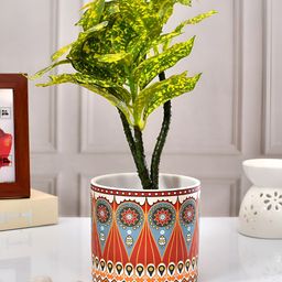 TAYHAA Red & White Vibrant Multi-Patterned Ceramic Round-Shaped Indoor Planter-18