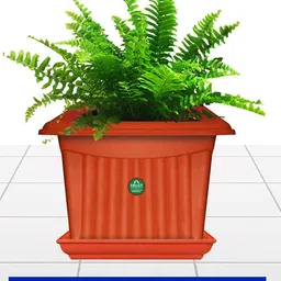 TRUSTBASKET 3 Pcs Brown Planter Saucers-57