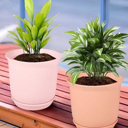 Kuber Industries Peach & Pink 2 Pieces Marble Finish Planters With Tray-93