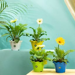 TRUSTBASKET Blue & Yellow 4 Pieces Blossom Planters-44