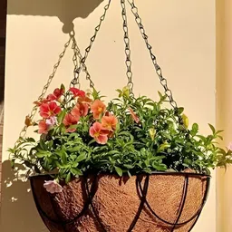 Garden Deco Brown & Black 2 Pieces Metal Round Hanging Basket-image-39