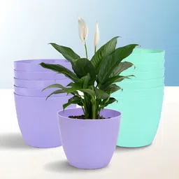 Kuber Industries Marble Cool 12-Pcs Purple & Green UV-Protected Planters-5