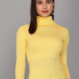 TANDUL Turtle Neck Long Sleeves Ribbed Woollen Pullover-image-87
