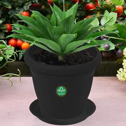 TrustBasket 6-Pcs Black UV Treated Round Saucers Planters-image-35