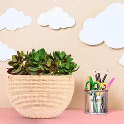 Kuber Industries Marble Euro 12 Pieces Green & Beige Hanging Planters-50
