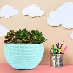 Kuber Industries White & Mint Green 4 Pieces Textured Hanging Planter-29
