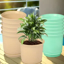 Kuber Industries Beige & Green 12 Pieces Marble Finish Planters With Tray-picture-40