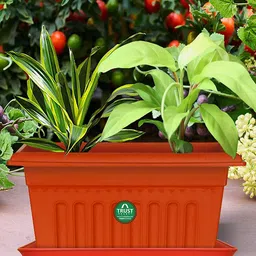 TRUSTBASKET 12 Pcs Brown Brand Logo Detailing Planter Saucers-9