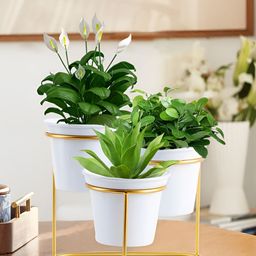 Homesake Gold Toned & White 2 Pieces Round Planters With Holder-56