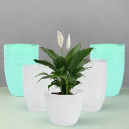 Kuber Industries White & Green 24 Pieces Marble Planters-image-72