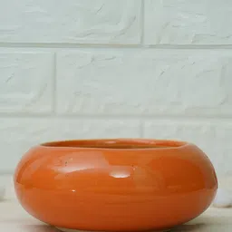 GOLD DUST Orange 2 Pieces Ceramic Ellipse Planter-16