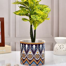 TAYHAA Blue & White Artistic-Design Patterned Ceramic Round-Shaped Indoor Planter-25