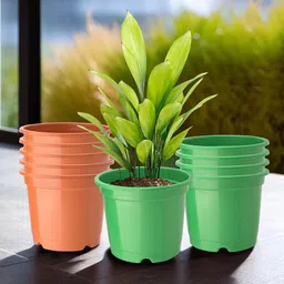 Kuber Industries 10-Pcs Green & Orange-Coloured Durable Planters-10