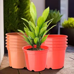 Kuber Industries Pack Of 10 Red & Orange Planters-13