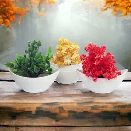 CHOCOZONE 6Pcs White Flower Planters-19