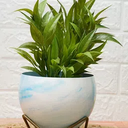 GOLD DUST Marble White Metal Glossy Finished Planter-6