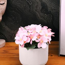 TAYHAA White Textured Ceramic Planter image 4