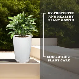 Kuber Industries Set Of 2 White Flower Planters image 3