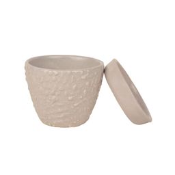 StyleMyWay Grey Textured Planter Pot With Tray image 2