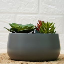 GOLD DUST Grey Metal Handi Planter-9