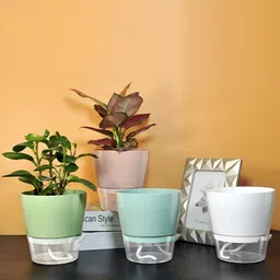 UMAI Pink & Green 4 pieces Self Watering Planters-image-92