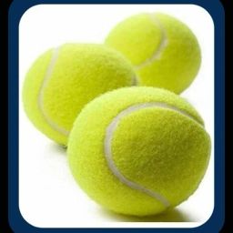 New-New-Tennis ball _150Pack of 6 Tennis Ball-image-79