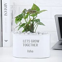 Syngonium Plant In Personalised Grow Together Pot-34