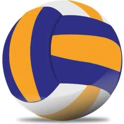 Plain Volleyball 18 Panels with Needle Volleyball - Size: 4-picture-25
