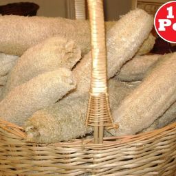 Loofah-19