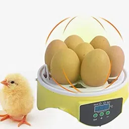 7 Egg Incubator Egg Incubator-14