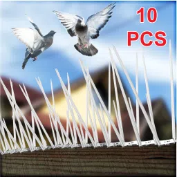 Bird Spike-40