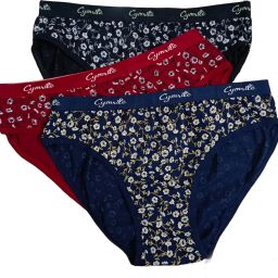 Pack of 3 Women Hipster Multicolor Panty-image-34